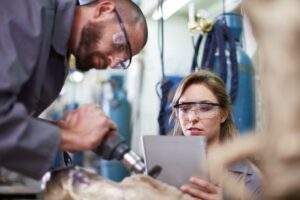 Szkolenia NDT – klucz do skutecznej diagnostyki technicznej